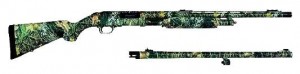 moss_14658